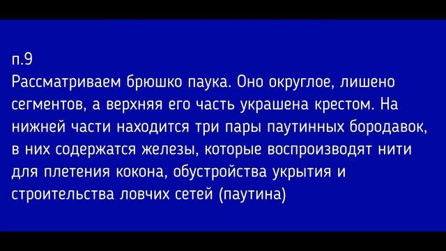 Биология 7 класс. Лабораторная работа. Изучение внешнего строения паука крестовика смотреть онлайн