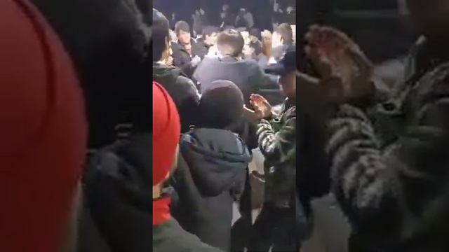 Туй дар Шахринав