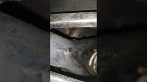 здравствуйте это Иран саманд какой выжимной подшипник подойдёт на него объем 1.6