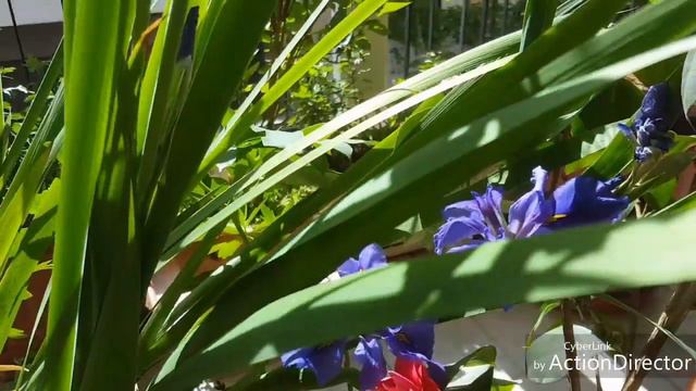 It's spring 😍😊 смотреть онлайн