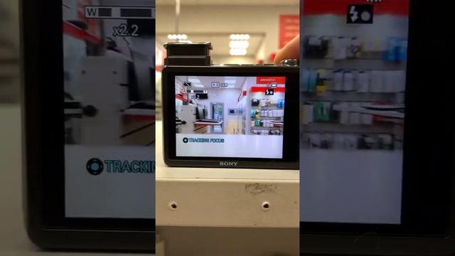 14 сентября 2022 г. смотреть онлайн