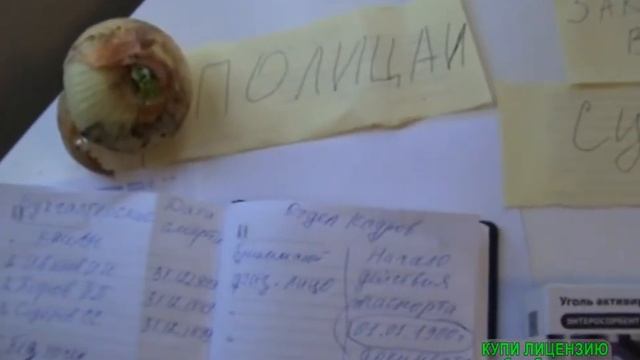 Разъяснения и размышления для новичков