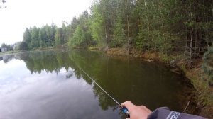 Спортивный карась на спиннинг. Мормышинг на карасевом пруду.