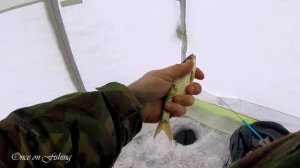 Рыбалка Плотва Лед Зима 2019 Беларусь Минское море Fishing Roach