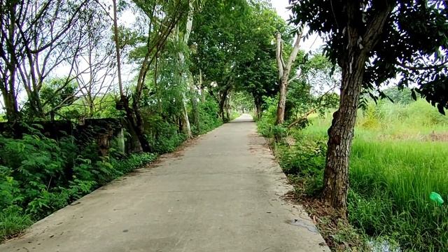 Oppo Reno 4 - Unboxing Review смотреть онлайн