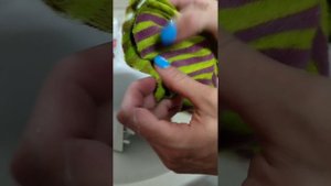 Как почистить лоток у стиральной машины?