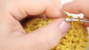 How to Crochet a Zucchini Squash