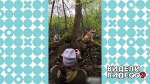 Непростая фотосессия. Видели видео? Фрагмент выпуска от 31.05.2020