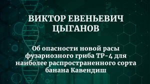 Виктор Евгеньевич Цыганов, рассказал об опасности новой расы фузариозного гриба TP-4