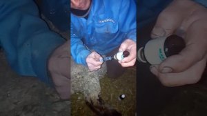 Уколы баранам