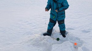 Зимняя рыбалка на Иртыше. Mарт 2022. Щука, Налим, Окунь.