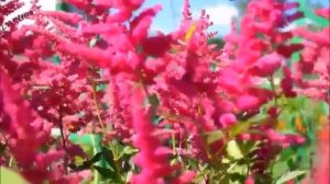 А.Монин, рок-группа "Круиз"."Красота". 2006г.