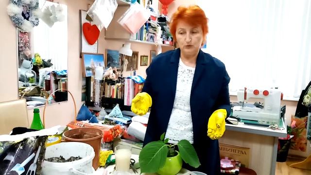 Гарденотерапия Черенкование гортензии крупнолистной смотреть онлайн