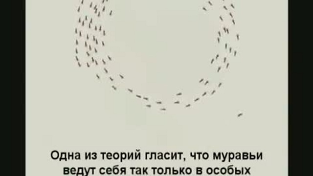Спираль смерти