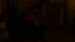 аккордеон играет