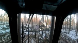 Лесные Машины в ДЕЛЕ | LOGSET F8 и VOLVO logmax 7000