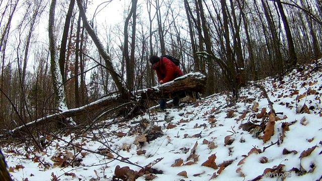 Отличная ПИЛА Samurai D 540 LH смотреть онлайн