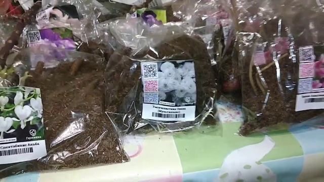 Распаковка посылки от гаршинка