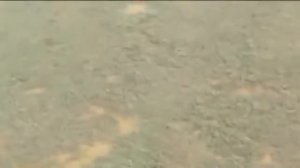 ПРИШЕЛЬЦЫ ВЫСАДИЛИСЬ НА ЯМАЛЕ, ВИДЕО ДОКАЗАТЕЛЬСТВО