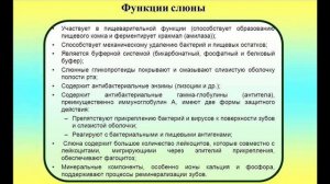 Строение ротовой полости. Состав и функция слюны