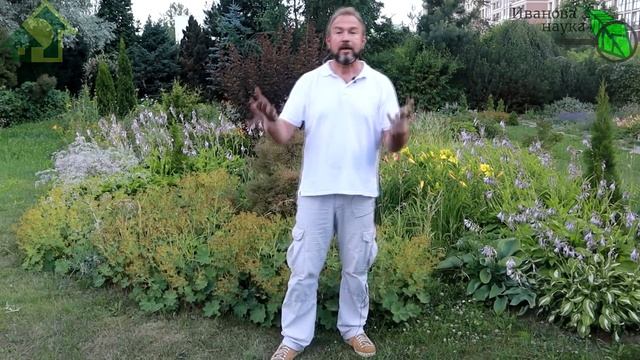 ВОТ ПОЧЕМУ Я ЗЛОЙ НА СЕМЕНА АЛТАЯ! Виктория снова накосячила. Что с ней не так? Это сглаз, не иначе