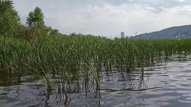 По дороге за хлебушком! Зелёный остров.Рассказывает Сергей Уткин.