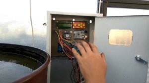 Теплица по ФЭНШУЮ # Выращиваем овощи БЕЗ ЗАПАР