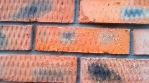 ГКЖ-11К гидрофобный эффект.