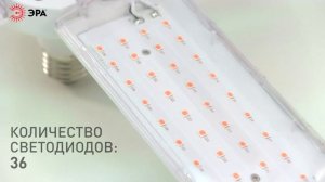 Фитолампа для растений светодиодная ЭРА FITO-36W-RB-E27-FOLD 4-х лепестковая красно-синего спектра