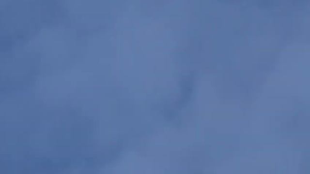Полет голубей крупным планом