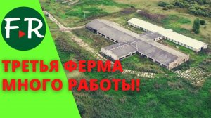 Восстановление фермы своими силами. Огромный объём работ. Здесь будет беспривязное содержание.
