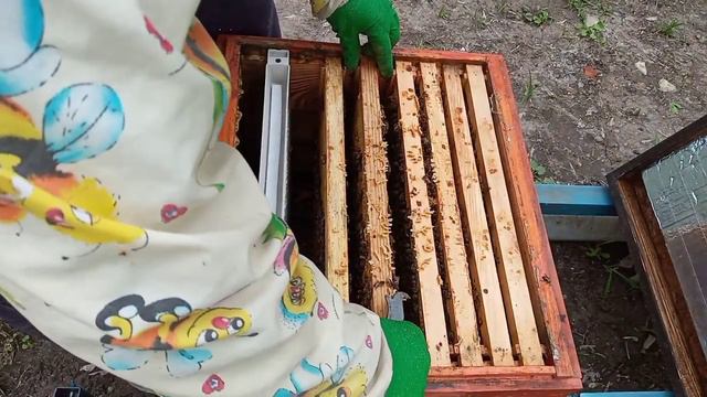 Наращиваем пчелу. Погоды Нет, а Развитие Идёт. смотреть онлайн