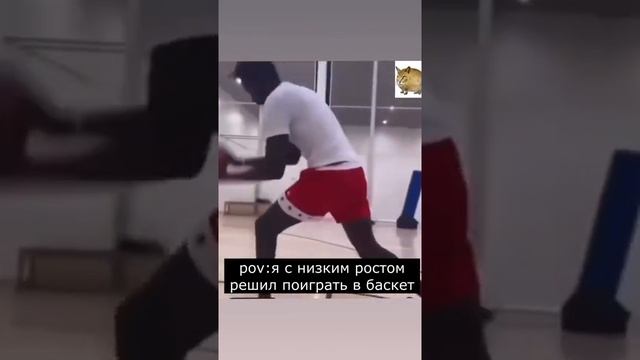 когда решил поиграть в баскетбол с низким ростом