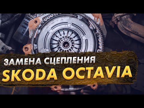 Skoda Octavia 1,8 DQ200 замена сцепления и подшипника