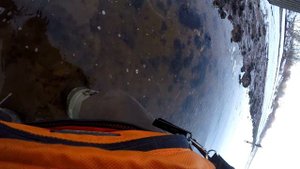 Zetrix Flair FLS 732ULT 0.8-7g. НЕ обзор. Ловля по верху теста