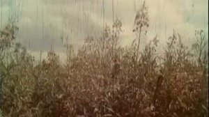 Пчеловодство ссср   Содержание пчёл в многокорпусных ульях