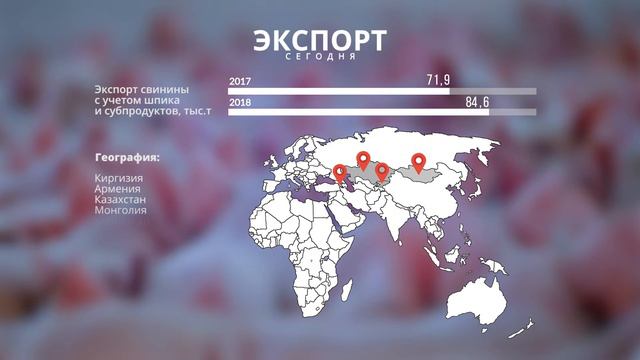 Актуальные вопросы производства и экспорта мяса