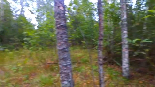 Обратно в лето! Как мы встретили ЗМЕЮ?\Деревенские будни\Жизнь в деревне смотреть онлайн