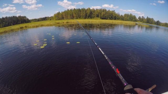 Щука 4,5 кг съела Маленького УТЁНКА! Крупные щуки едят утят. Бешеный клёв щуки на утёнка. смотреть онлайн