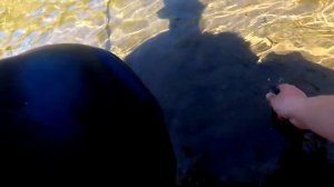 Рыбалка на реке Джебаш, часть 1