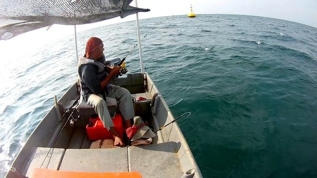 rainbow runner.. catch and release.. смотреть онлайн