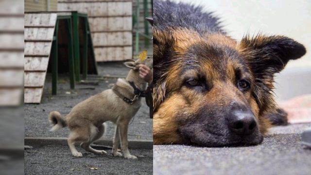 Владимир Захаров На Кольцевой.mp4 смотреть онлайн