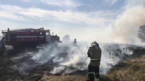 В Ростовской области вновь начала расти площадь лесных пожаров