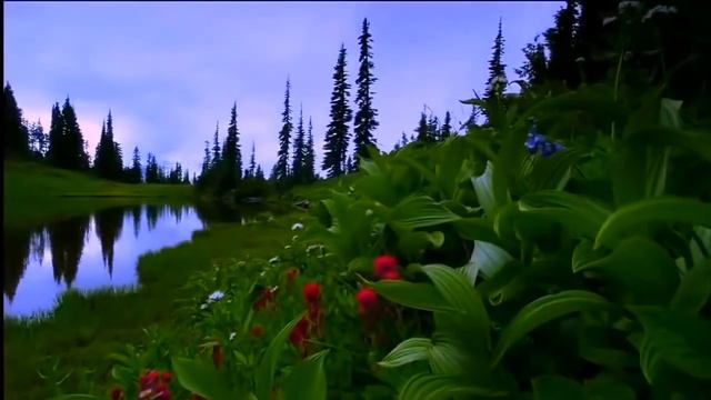 Margenta(исп. Milasa) - Подари мне смотреть онлайн