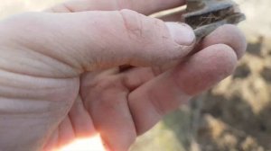 Коп монет 2022 Шурф фундамента Сезон начался!!!