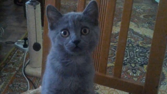 Учимся строить глазки смотреть онлайн