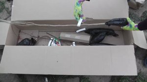 Саженцы почтой с Гарденмарт. Распаковка посылки с растениями