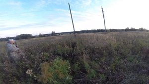охота с братишкой, на куропатку в поле, с легавой.