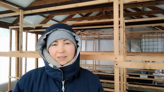 ИНФОРМАЦИЯ ДЛЯ ЗАКАЗЧИКОВ ИНКУБАЦИОННОГО ЯЙЦА мой птичий уголок в феврале смотреть онлайн