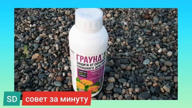 Совет за минуту. Убиваю сорняки! Граунд! Работает! Средство от сорняков.Чем уничтожить сорняки? смотреть онлайн